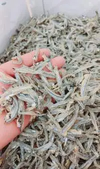 Dried Anchovy Fish