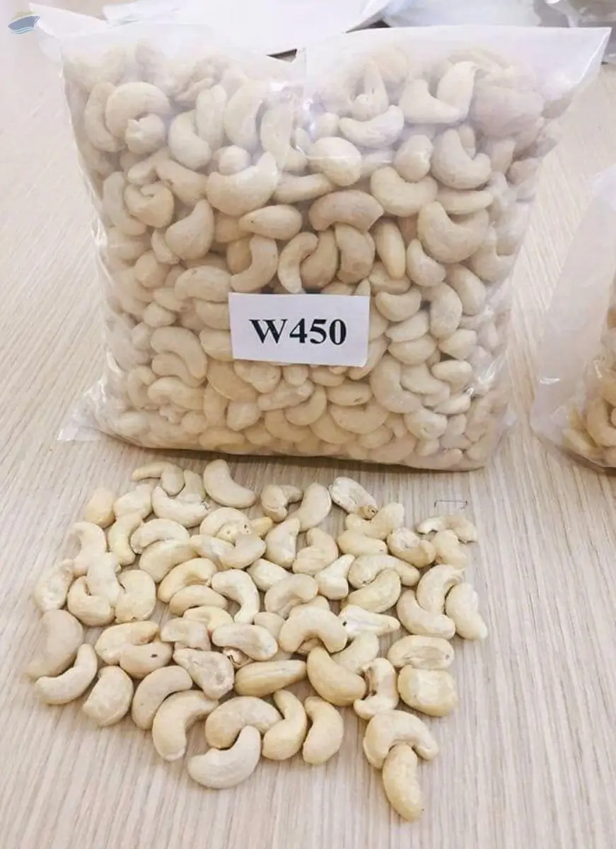 Cashew