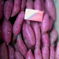 sweet potato