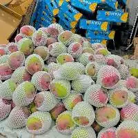 Australian Mango