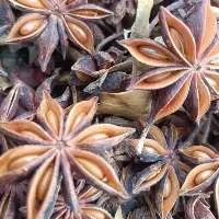 Star Anise