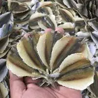 Dried Yellow Stripe Trevally Fish