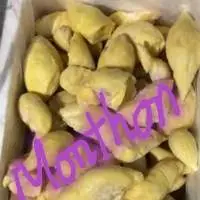 Frozen Durian