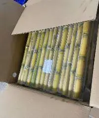 Sugarcane
