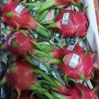 IQF Dragon Fruits