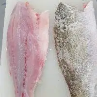 Frozen Barramundi Fillet