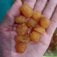 Dried Longan