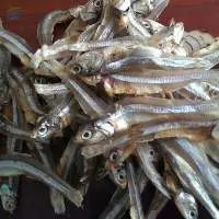 Dried Anchovy Fish