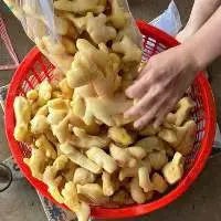 Frozen Ginger