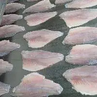 Sea Bass Fillet