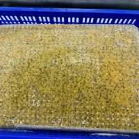 Frozen Passion Fruit