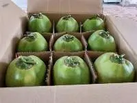 Fresh Coconut