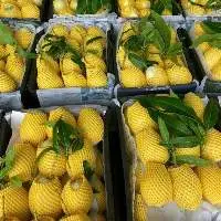 Fresh Mango