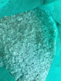 DRIED FISH SCALES