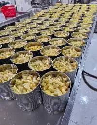 Canned Pineapple