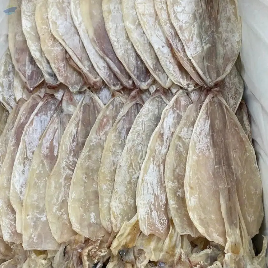 DRIED SQUID