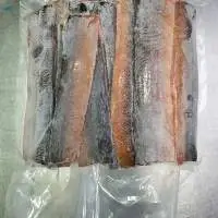Frozen Eel