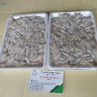 Frozen River Anchovy Fish