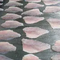Barramundibarr Fillet