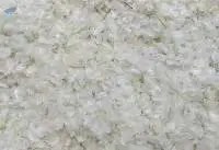 Dried Fish Scale