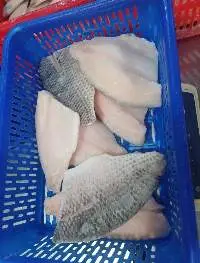 Frozen Tilapia Fillet