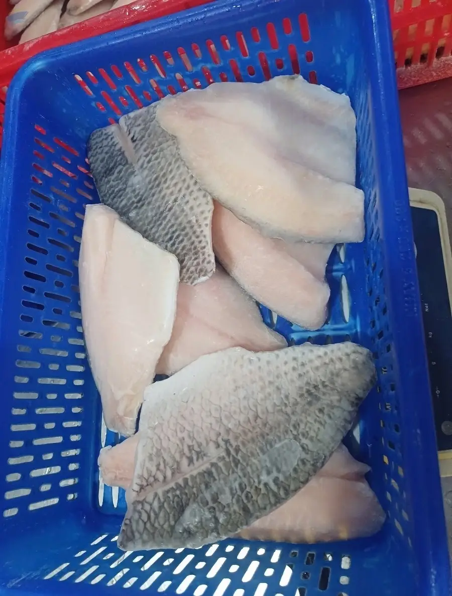 Frozen Tilapia Fillet