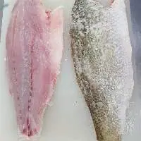 Seabass Fillet