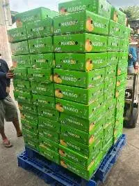 Fresh Mango