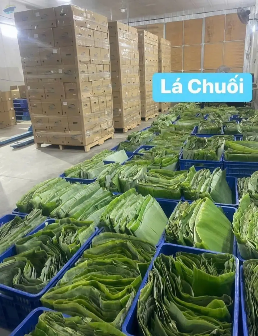 Banana Leaf