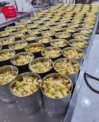 Canned Pineapple