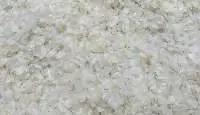 Dried Fish Scales