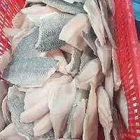 Frozen Tilapia Fillet
