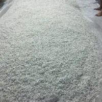 Frozen Chirimen Fish