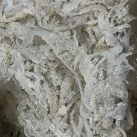 Dried Jelly Fish