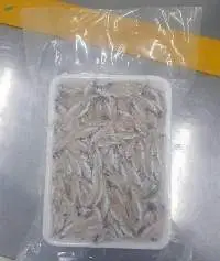 Frozen Keski Fish