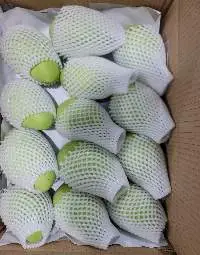 Fresh Mango