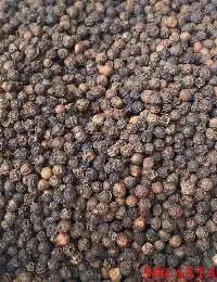 Black Pepper