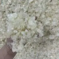 Dried Fish Scales