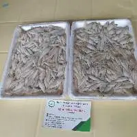 Frozen Keski Fish