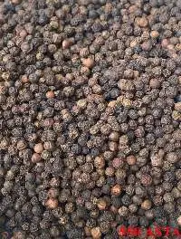 Black Pepper
