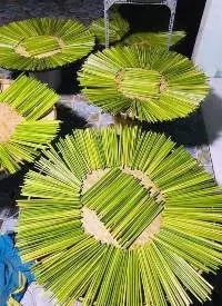 Grass Straws