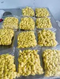 Frozen Ginger