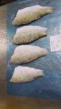 Seabass fillet
