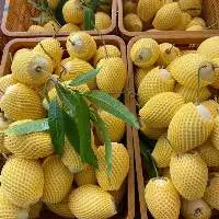 Fresh Mango