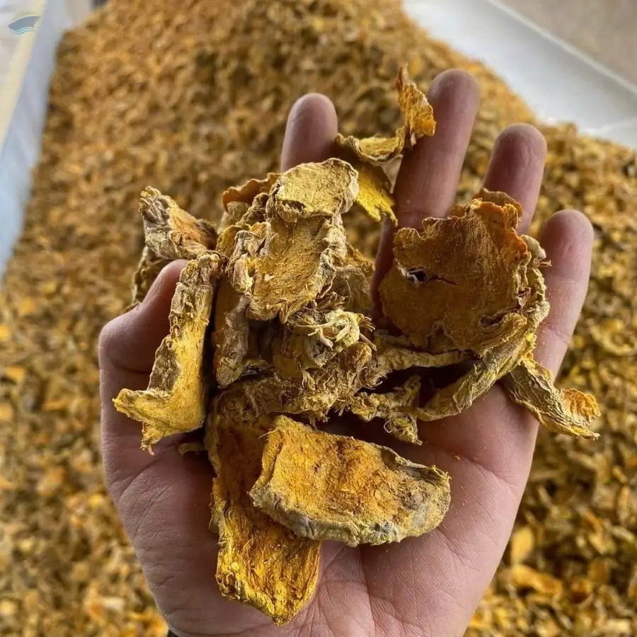 Turmeric