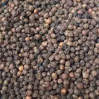 Black Pepper