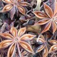 Star Anise