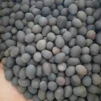 Lotus Seed