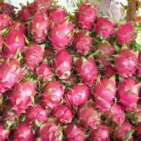 Dragon Fruit