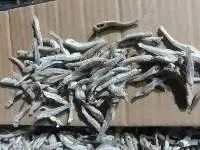 Dried Anchovy Fish